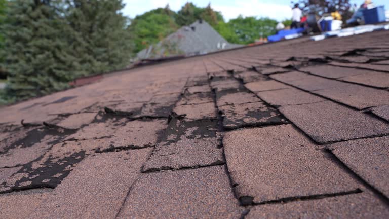 Best Roof Maintenance and Cleaning  in Vinton, VA