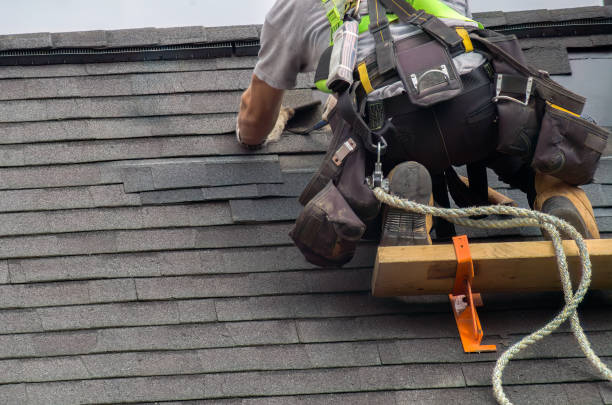 Best Solar Panel Roofing Installation  in Vinton, VA