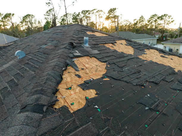 Best Roof Maintenance and Cleaning  in Vinton, VA